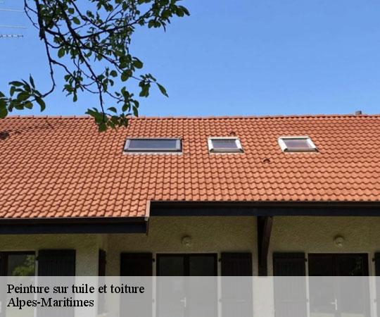 peinture-sur-tuile-et-toiture