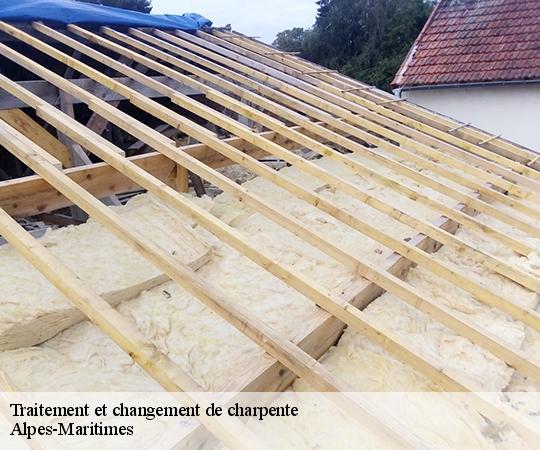 traitement-et-changement-de-charpente