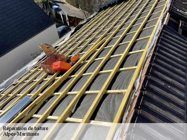Réparation de toiture Alpes-Maritimes 
