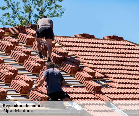 Réparation de toiture Alpes-Maritimes 