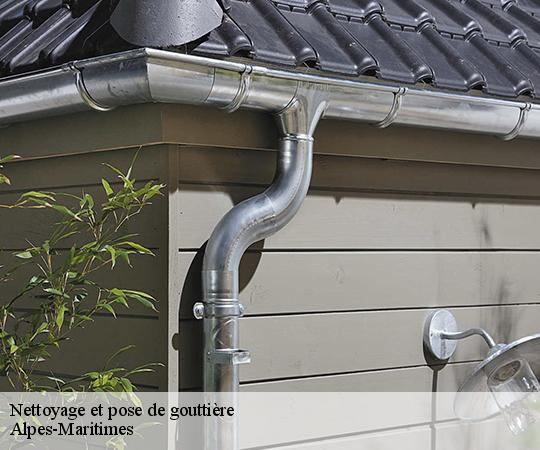 nettoyage-et-pose-de-gouttiere