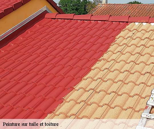 peinture-sur-tuile-et-toiture