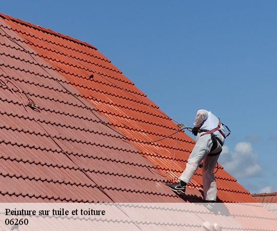 peinture-sur-tuile-et-toiture