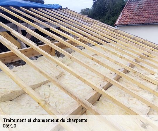 Traitement et changement de charpente  06910