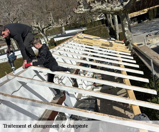 traitement-et-changement-de-charpente