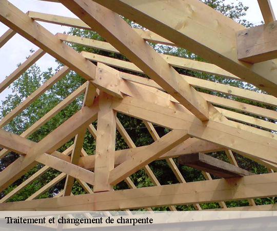 traitement-et-changement-de-charpente