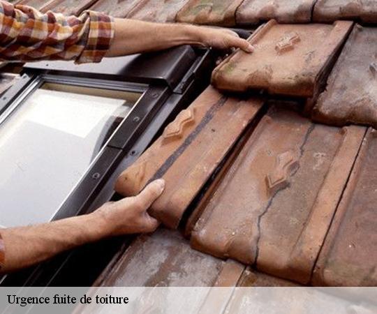 urgence-fuite-de-toiture