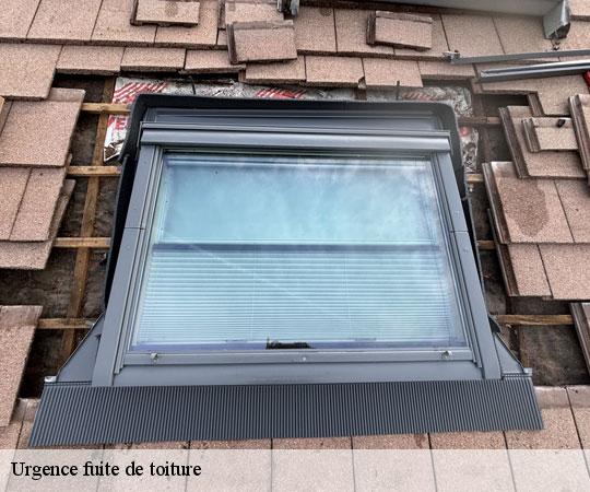 urgence-fuite-de-toiture