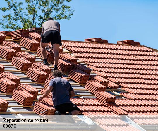 Réparation de toiture  06670