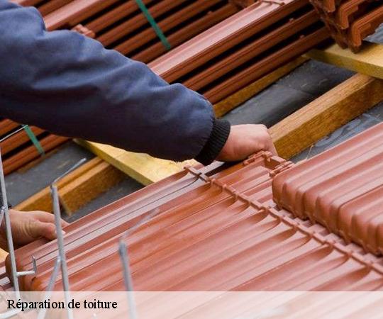reparation-de-toiture