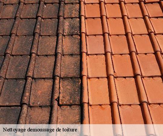 nettoyage-demoussage-de-toiture