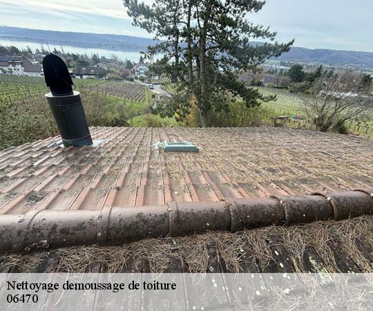 nettoyage-demoussage-de-toiture