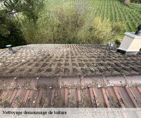 nettoyage-demoussage-de-toiture