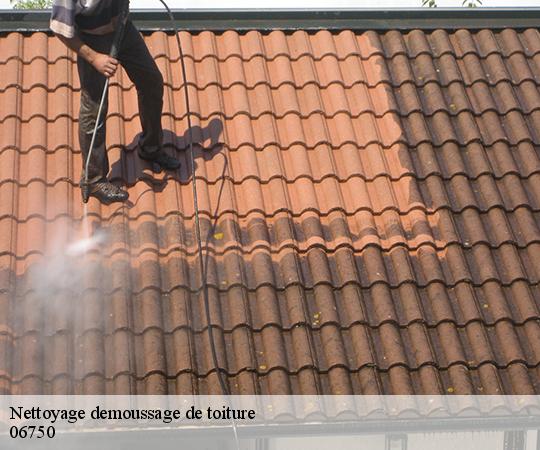 Nettoyage demoussage de toiture  06750